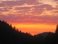 Adult Camp thumbnail