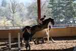 Judy Brawley Clinic, thumbnail
