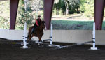 Judy Brawley Clinic, thumbnail