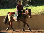 Judy Brawley Clinic, thumbnail