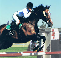 Jumper Home