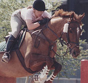 Jumper Home