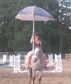 Normas Horses thumbnail