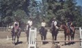 Normas Horses thumbnail