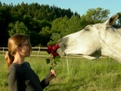 Love Affairs thumbnail