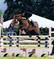 Normas Horses thumbnail