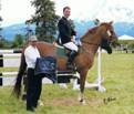 Normas Horses thumbnail