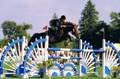 Normas Horses thumbnail