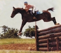 Normas Horses thumbnail