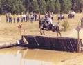Normas Horses thumbnail