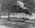 Normas Horses thumbnail