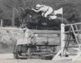Normas Horses thumbnail