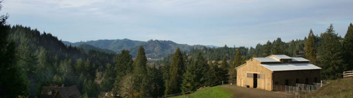 Spectacular View at Wildtree Farm